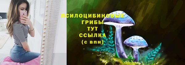 спиды Балахна